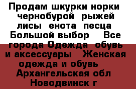 Продам шкурки норки, чернобурой, рыжей лисы, енота, песца. Большой выбор. - Все города Одежда, обувь и аксессуары » Женская одежда и обувь   . Архангельская обл.,Новодвинск г.